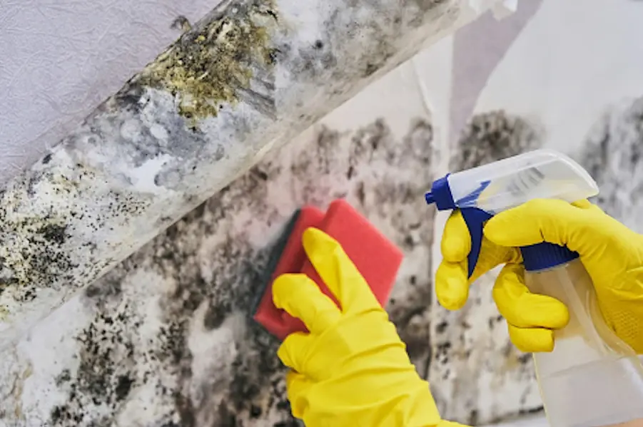 brisbane water damage restoration